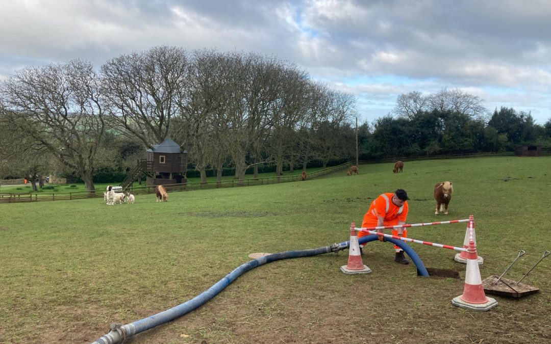 We are use to spectators watching our tanker teams work, but Llamas, goats and Pony’s has got to be a first!