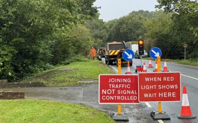 Ditching and Tree Surgery Project in Hampshire