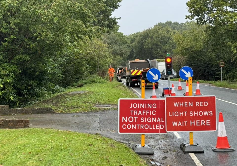 Ditching and Tree Surgery Project in Hampshire