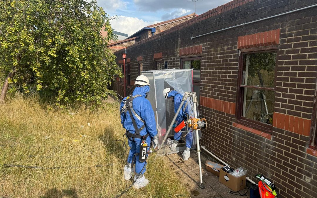 Confined Space Operation Resolves Fly Infestation Under High-Risk Conditions