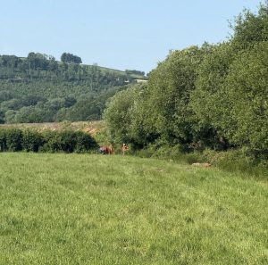 Workers in orange high-vis in a field