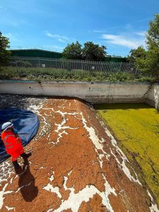 Man cleaning an empty pool