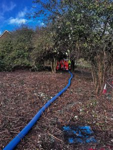 workers in orange workwear using a blue tube between trees